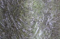 Sulhamstead fibreglass roof work